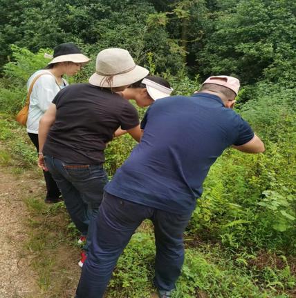 【桂林中医唐志莲】