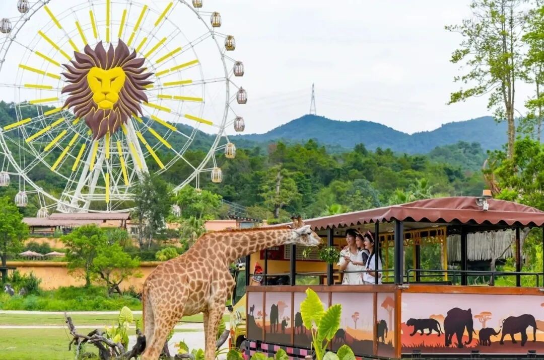 1763776315720616.jpg 23.jpg