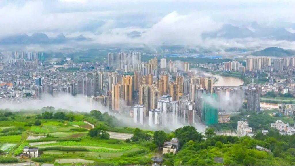 1763776536349868.jpg 37.jpg