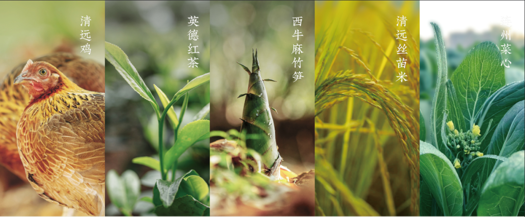 1763776712997257.png 50.png