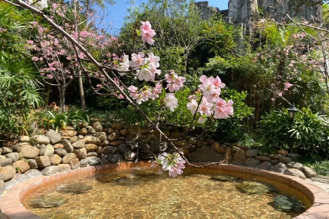 1763776641604316.jpg 44.jpg