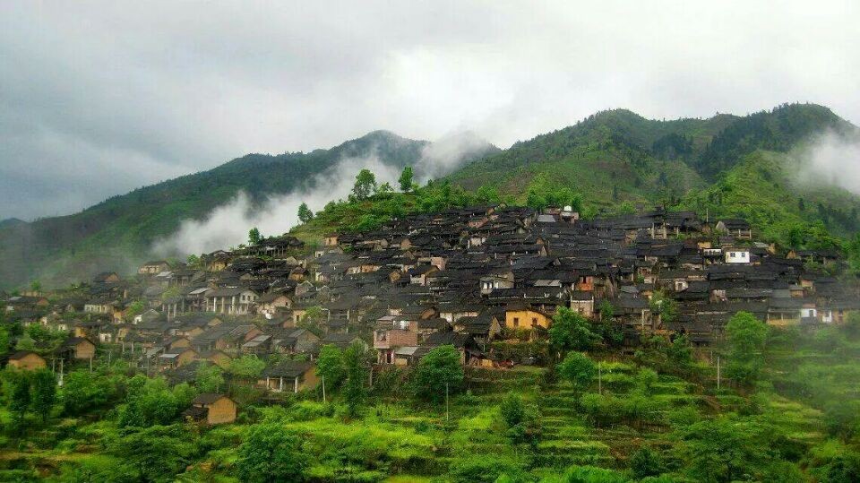 1763776565865831.jpg 40.jpg