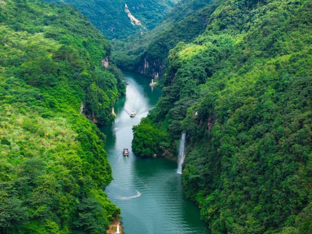 1763776702642556.jpg 49.jpg