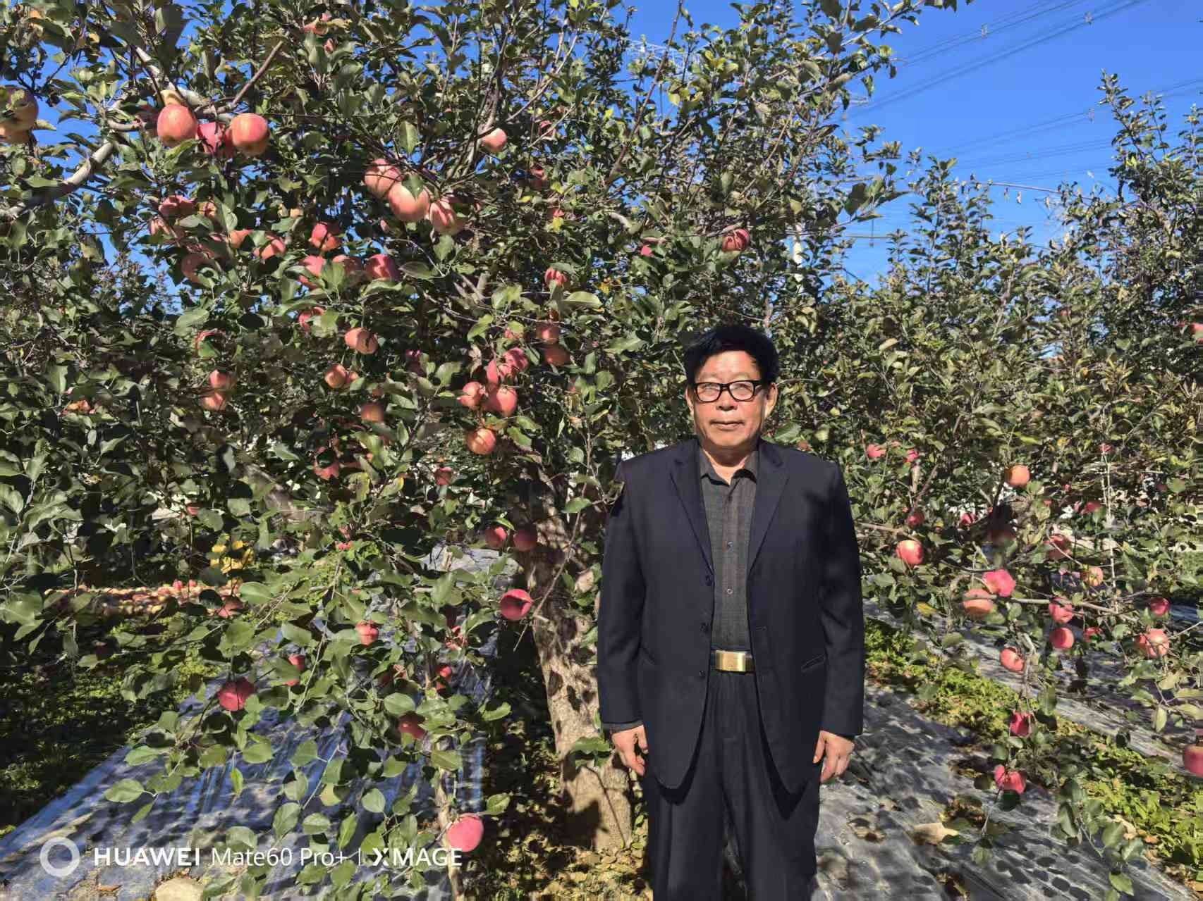 1762331993597869.jpg 4.jpg