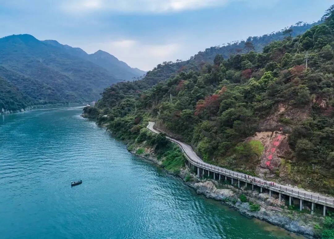 1763776693555080.jpg 48.jpg