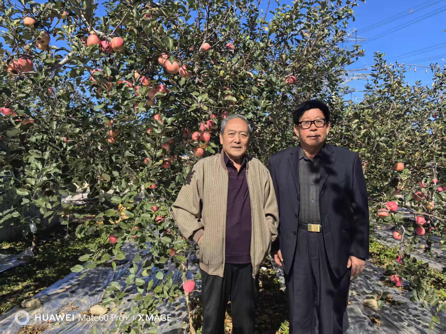 1762332010524052.jpg 5.jpg