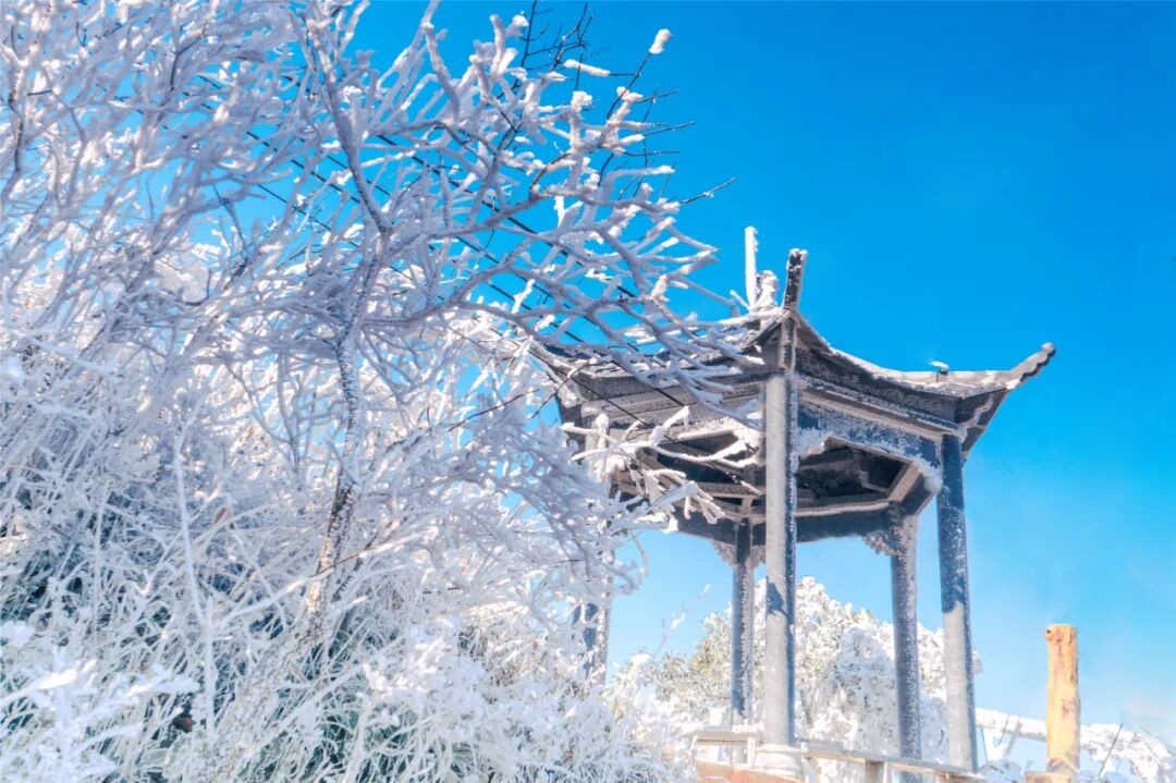 1763776654477919.jpg 45.jpg