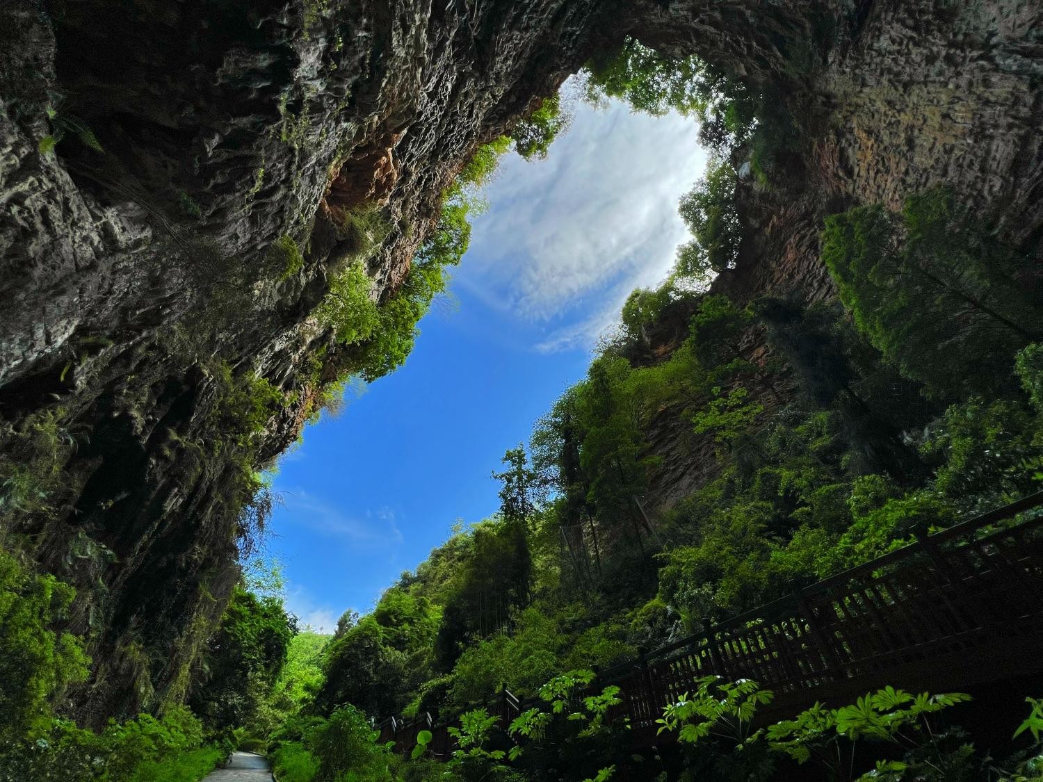 1765782892278463.jpg 01(1).jpg