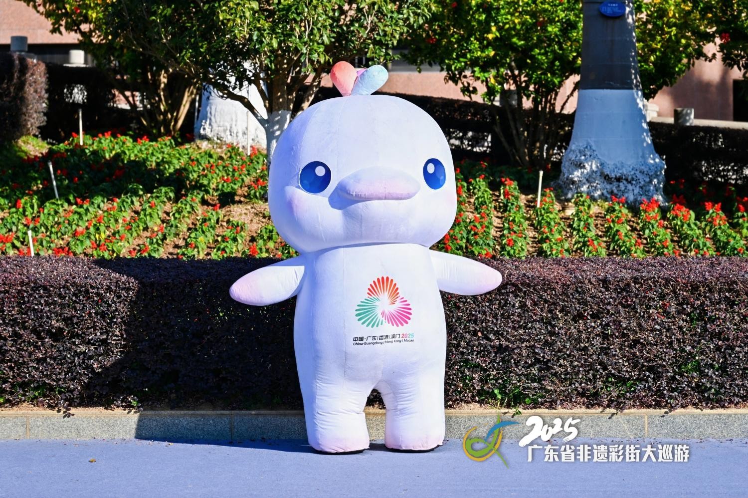 1764821520785953.jpg 3(1).jpg