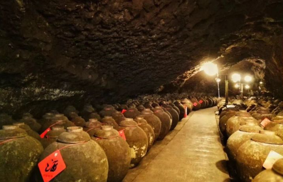 银杏科技力水，高端养生的新选择