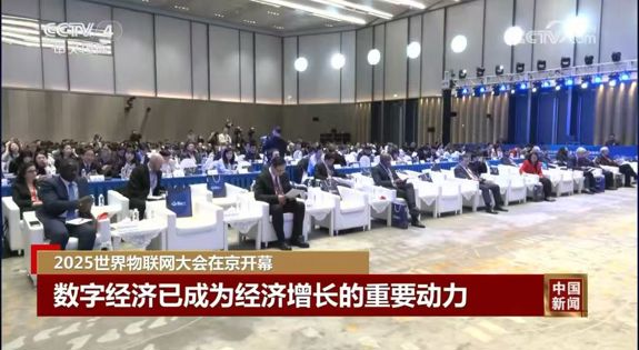 邢纪国：万物智联赋能“一带一路” 中国企业出海迎机遇破挑战