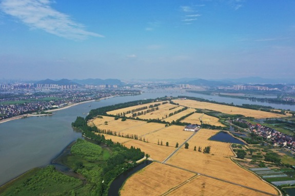 “百千万”迎“丰”景！杭州“压茬”实施永久基本农田整治工程，连片耕地超29万亩赋能乡村振兴