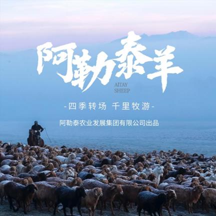 阿勒泰农业发展集团有限公司——国家地理标志产品“阿勒泰羊”全产业链践行者