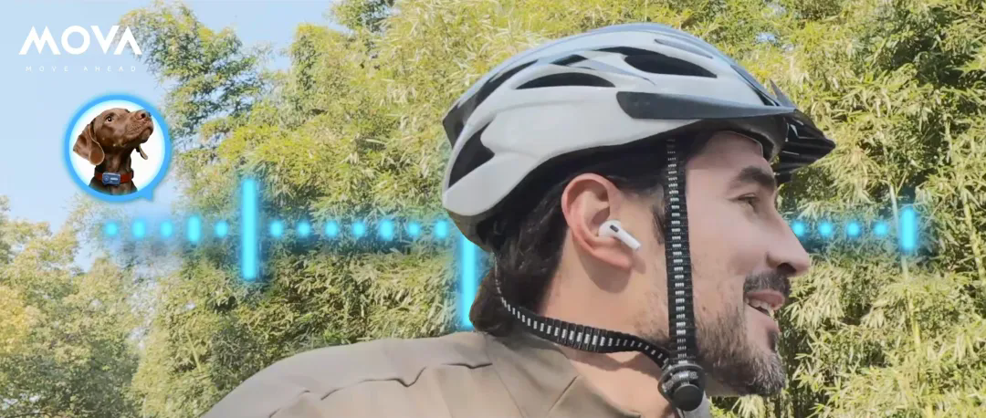 1770622068636167.png 5.webp.png