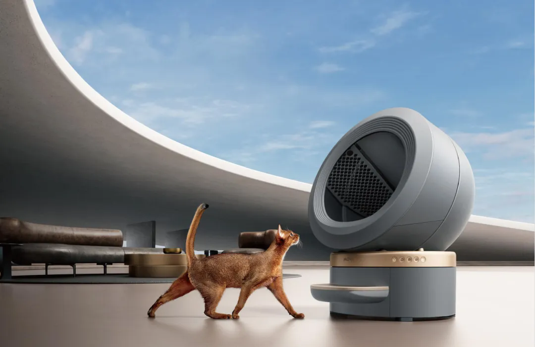 1770622032500917.png 3.webp (1).png