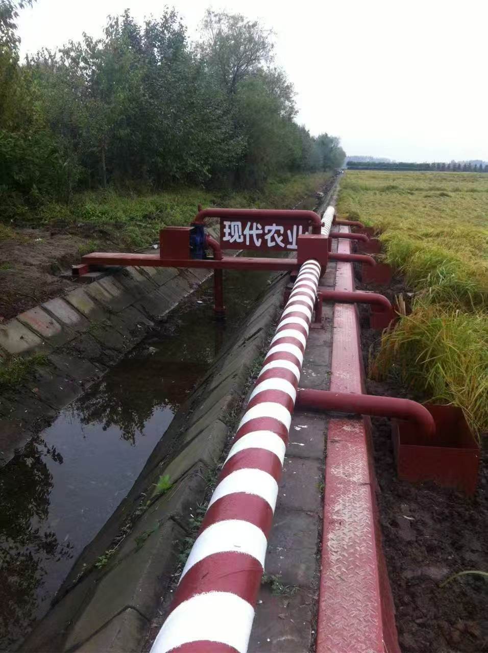 1774835351604157.jpg 531f87d8eb072914fb64f82866b7a16a.jpg