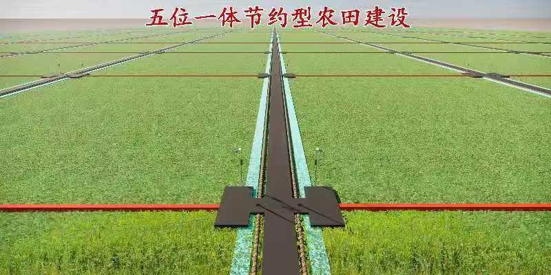 1774835335443951.jpg 07a89e9a0f3780935edc40ddf1d9e82a.jpg