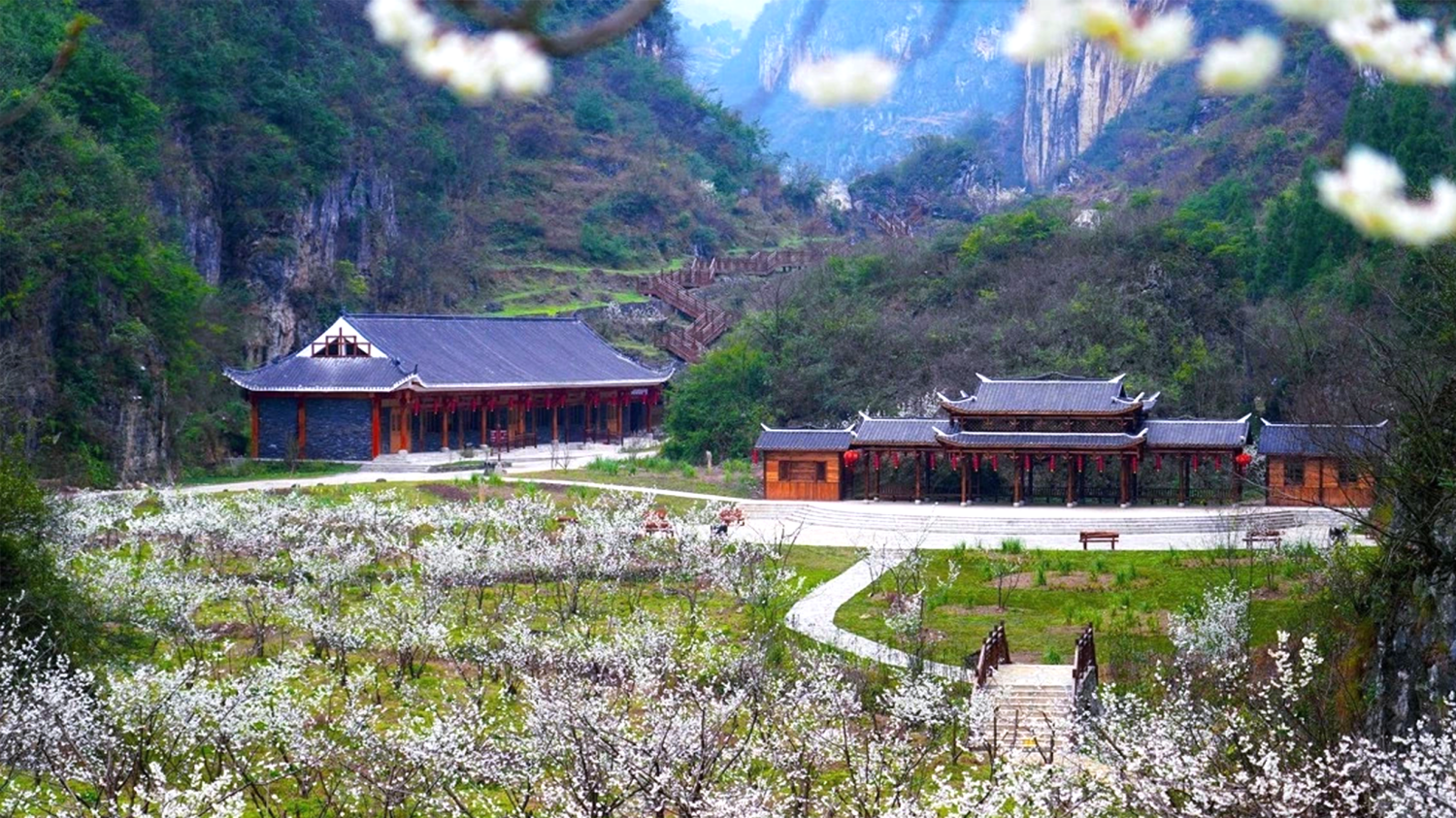 1773824804287751.png 1(1).png