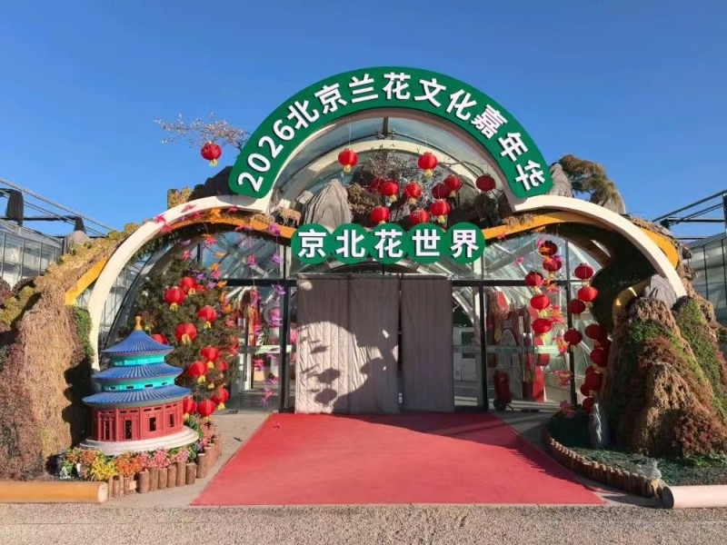 绽放她力量 相约春天里|民建昌平工委携手京北花世界圆满举办女神节主题活动