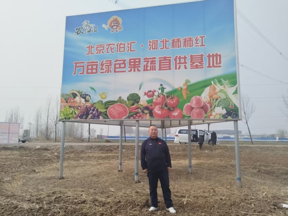 农田代谢的碳密码：物理农业重构生态经济循环